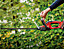 Einhell Power X-Change Cordless Hedge Trimmer - 22inch (55cm) - With Battery And Charger - GC-CH 1855/1 Li Kit (1x2,5 Ah)