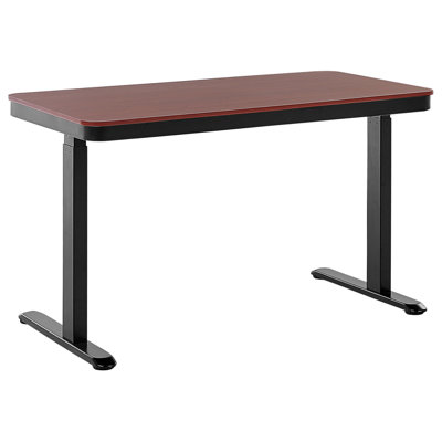 Electric Adjustable Standing Desk 120 x 60 cm with USB port Dark Wood and Black KENLY