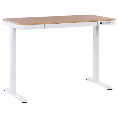 Electric Adjustable Standing Desk 120 x 60 cm with USB port Light Wood and White KENLY