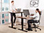 Electric Adjustable Standing Desk 160 x 72 cm Dark Wood and Black DESTINES