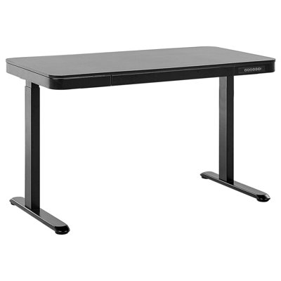 Electric Adjustable Standing Desk KENLY 120 cm x 60 cm with USB Port Black