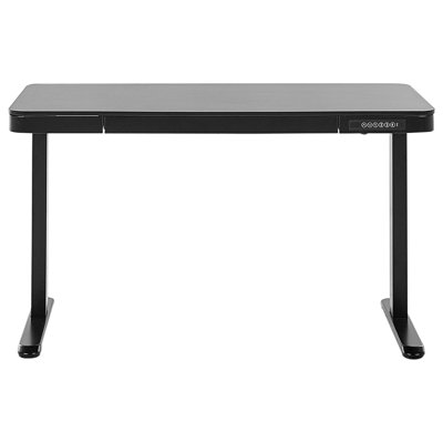 Electric Adjustable Standing Desk KENLY 120 cm x 60 cm with USB Port Black