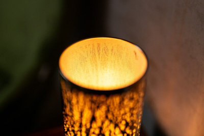 Electric Silver Tree Oil Burner Wax Warmer - 5