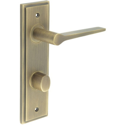 Elegant Antique Brass Door Handle with Backplate for Bathrooms - Solid Brass Interior Handle