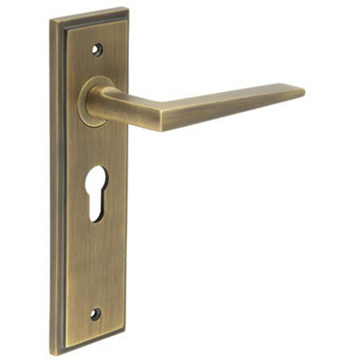 Elegant Antique Brass Door Handle with Euro Backplate Solid Brass - Interior Handle
