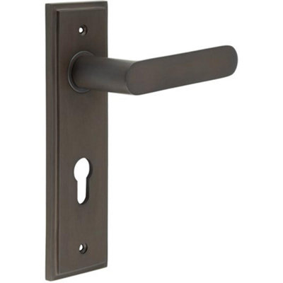 Elegant Antique Brass Door Handle with Euro Backplate - Solid Brass Interior Handle