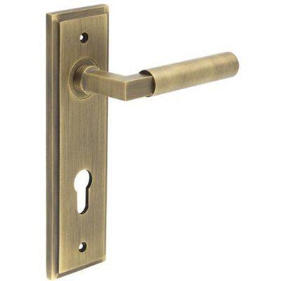 Elegant Antique Brass Door Handle with Euro Backplate - Solid Brass Interior Lever Lock Handle