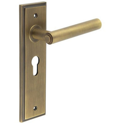Elegant Antique Brass Door Handle with Euro Backplate - Solid Brass Interior Lever Lock