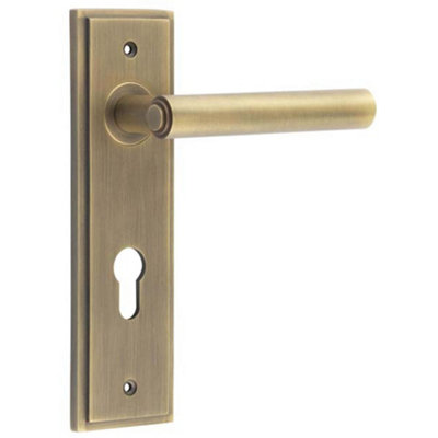 Elegant Antique Brass Door Handle with Euro Backplate - Solid Brass Interior Lever