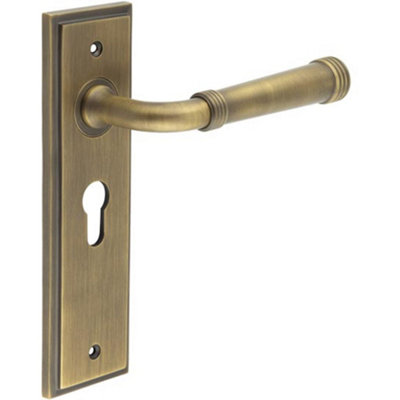 Elegant Antique Brass Euro Backplate Door Handle for Luxury Homes - Solid Brass Interior Handle