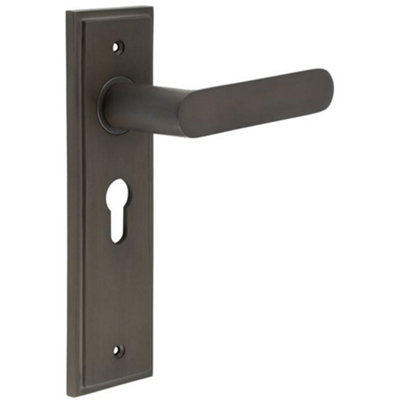 Elegant Dark Bronze Euro Backplate Door Handle for Luxurious Homes - Solid Brass Interior Handle