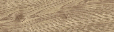 Elegant Nature Wood Effect 100mm x 100mm Porcelain Wall & Floor Tile SAMPLE
