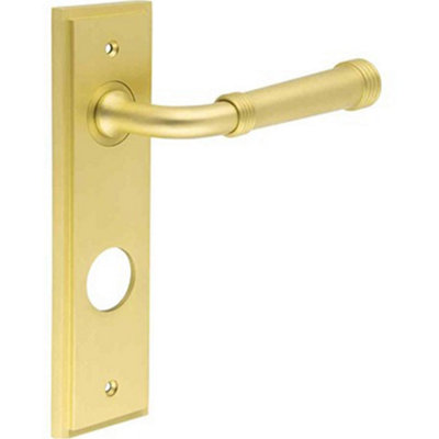 Elegant Satin Brass Door Handle with Backplate for Bathrooms - Solid Brass Interior Toilet Handle