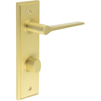 Elegant Satin Brass Door Handle with Backplate for Bathrooms WC - Solid Brass Interior Handle