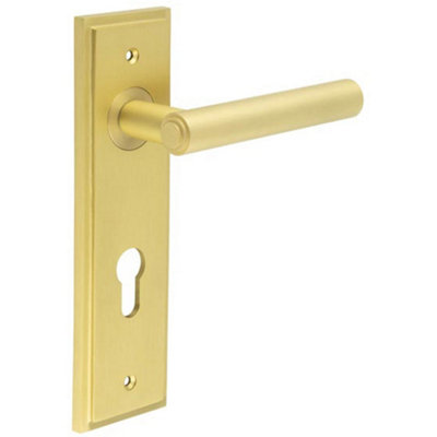 Elegant Satin Brass Door Handle with Euro Backplate for Luxurious Style - Solid Brass Interior Lever