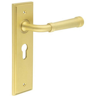 Elegant Satin Brass Door Handle with Euro Backplate for Stylish Interiors - Solid Brass Interior Handle