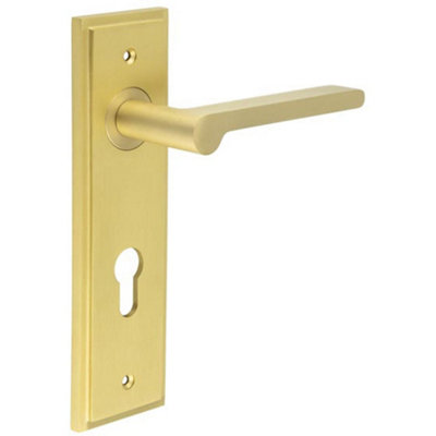 Elegant Satin Brass Euro Backplate Door Handle for Stylish Interiors - Solid Brass Interior Handle