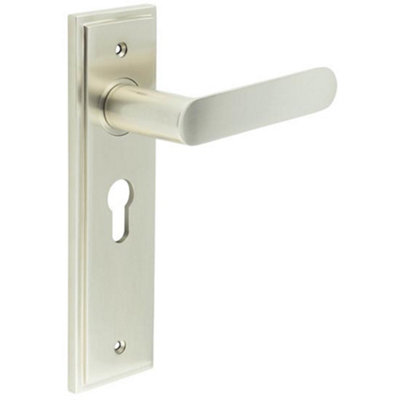 Elegant Satin Nickel Door Handle with Euro Backplate for Luxurious Interiors - Solid Brass Interior Handle
