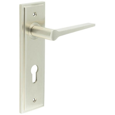 Elegant Satin Nickel Door Handle with Euro Backplate for Modern Homes - Solid Brass Interior Handle