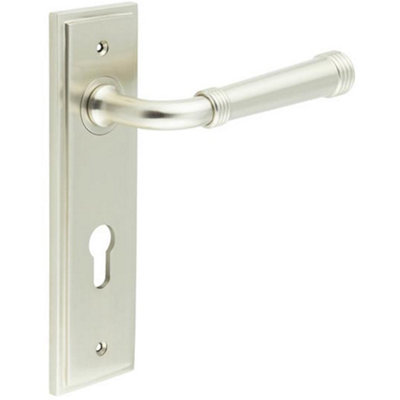Elegant Satin Nickel Euro Backplate Door Handle for Luxury Interiors - Solid Brass Interior Handle
