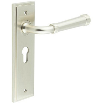 Elegant Satin Nickel Euro Backplate Door Handle for Modern Homes - Solid Brass Interior Handle