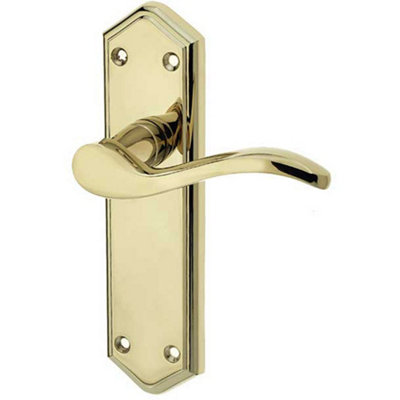 Elegant Suite Door Handle on PVD Brass Latchplate for Modern Interiors - Interior Lever on Backplate