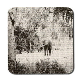 Elephant jungle (Coaster) / Default Title