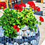 Elgarden Olimpia Flower Pot - 49cm Steel Gabion Planter - Contemporary Design