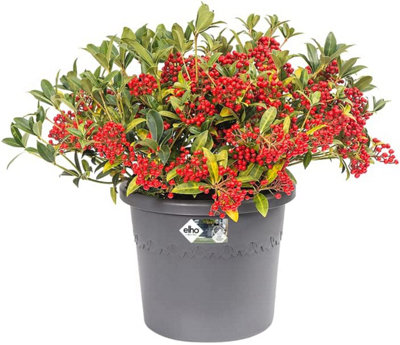 Elho Algarve Cilindro 25cm Plastic Plant Pot in Anthracite - 3
