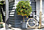 Elho Algarve Cilindro 48cm Plastic Plant Pot with Wheels in Anthracite