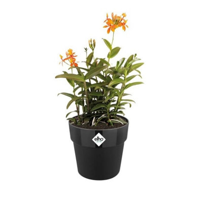 Plant pot Elho Ø 29,5 cm Anthracite polypropylene Plastic Squared main image 1