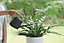 Elho B.for Soft Recycled Plastic 1.7L Watering Can in Anthracite
