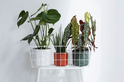 Elho B.for Soft Round 14cm Plastic Plant Pot in White