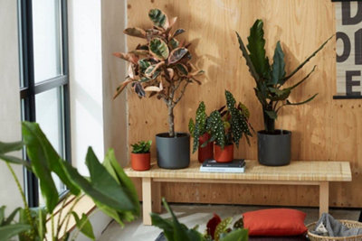 Plant pot Elho   Black Plastic Ø 30 cm