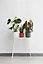 Elho B.for Soft Round 16cm Plastic Plant Pot in White