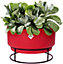 Elho B.for Studio Bowl 30cm Brilliant Red on Stand Recycled Plastic Plant Pot