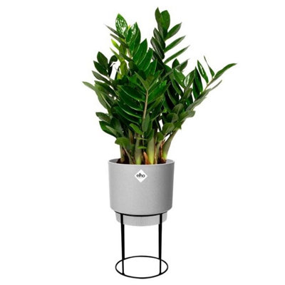Elho B.for Studio Round 22cm Living Concrete on Stand Recycled Plastic Plant Pot