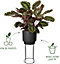 Elho B.for Studio Round 30cm Living Black on Stand Recycled Plastic Plant Pot
