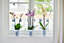 Elho Brussels Orchid High 12.5cm Transparent Plastic Plant Pot