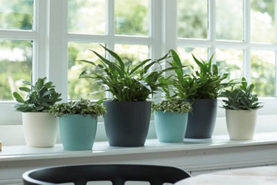 Elho Brussels Round 30cm Plastic Plant Pot in Anthracite - 4