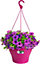 Elho Corsica Hanging Basket 30 - Flower Pot for Balcony & Outdoor - 30 x H 19.5 cm - Pink/Cherry Red