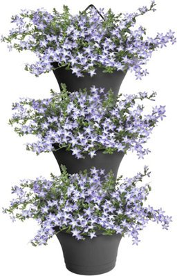 Elho Corsica Vertical Forest 24cm Set of Three