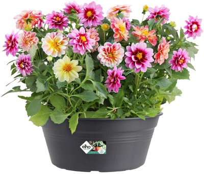 Elho Green Basics Bowl 27cm Living Black Recycled Plastic Plant Pot - 3