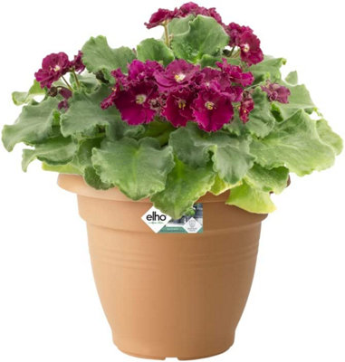 Elho Green Basics Campana 35cm Plastic Plant Pot in Mild Terra - 3