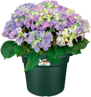Elho Green Basics Cilinder 55cm Leaf Green Recycled Plastic Plant Pot