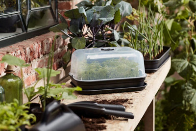 Elho Green Basics Grow Kit All-In-1 40cm Plastic Pot in Living Black