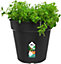 Elho Green Basics Grow Pot 24cm Plastic Plant Pot in Living Black