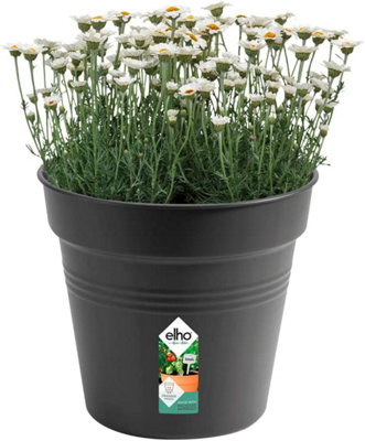 Elho Green Basics Grow Pot 40cm Plastic Plant Pot in Living Black