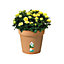 Elho Green Basics Grow Pot Mild Terracotta 40cm Recycled Plastic Plant Pot