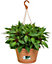 Elho Green Basics Hanging Basket 28cm Mild Terra Recycled Plastic